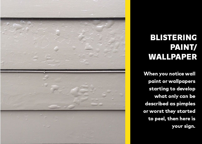 Blistering Paint/Wallpaper - water leakages