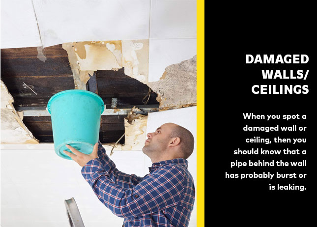 Damaged Walls/ Ceilings - water leakages