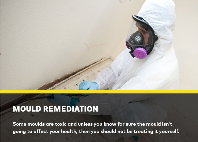 Mould remediation