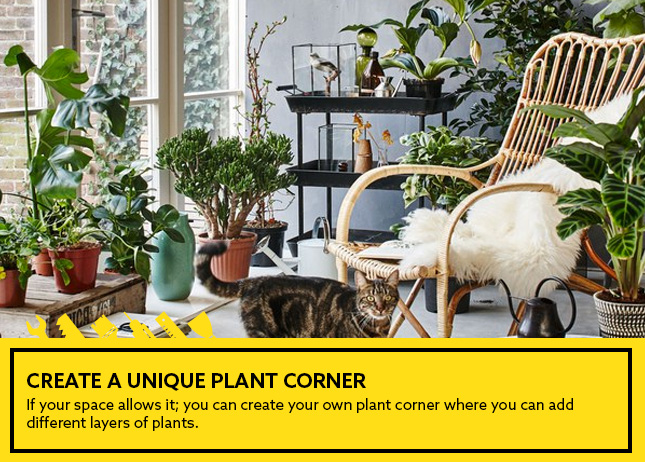 Create a unique plant corner - use greenery to decorate your house