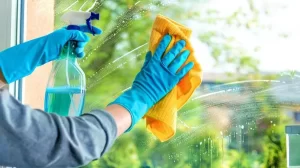 Cleaning schedule: How to clean your house properly