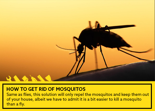 How to get rid of mosquitos