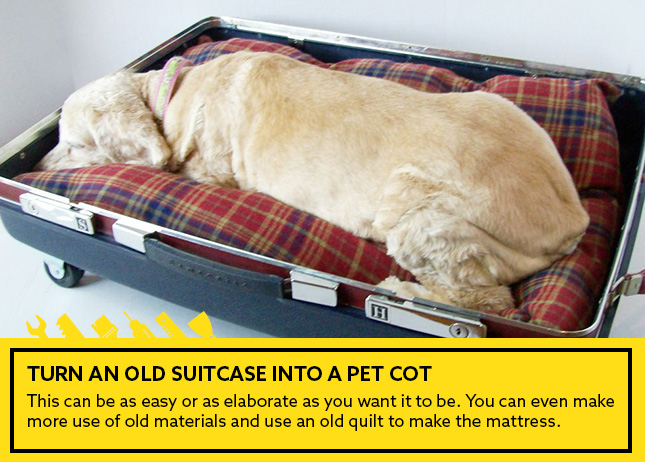 Turn an old suitcase into a pet cot