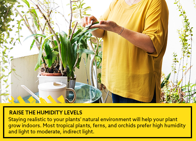 Raise the Humidity Levels