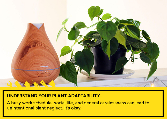 Understand Your Plant Adaptability