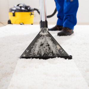 Carpet cleaning: Discover the different ways to clean your carpets